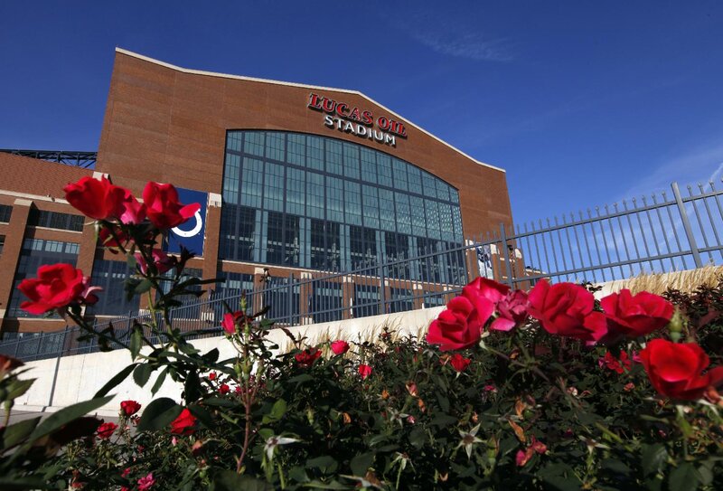 Red Roses in Front of Stadium