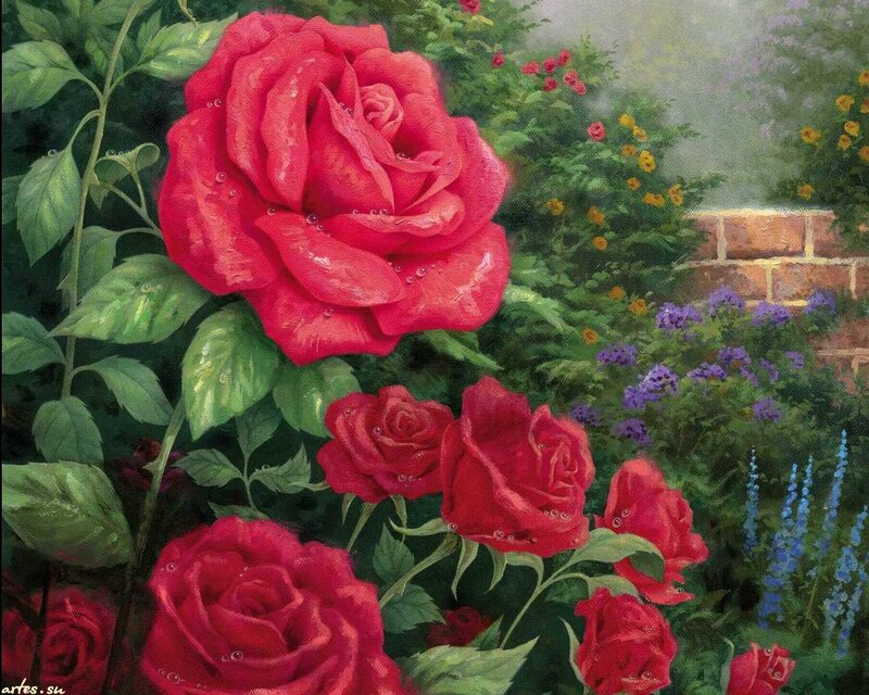Red Roses in Garden — Serene, Spring