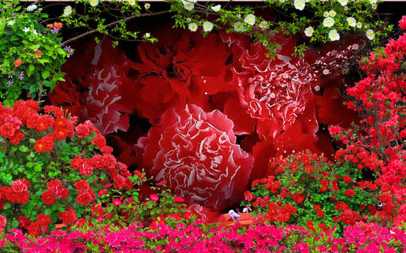 Red Roses in Garden — Vibrant