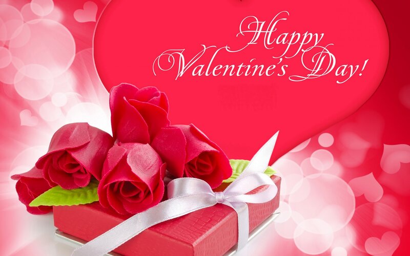 Red Roses in Gift Box — Romantic