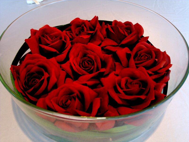 Red Roses in Glass Bowl — Calm