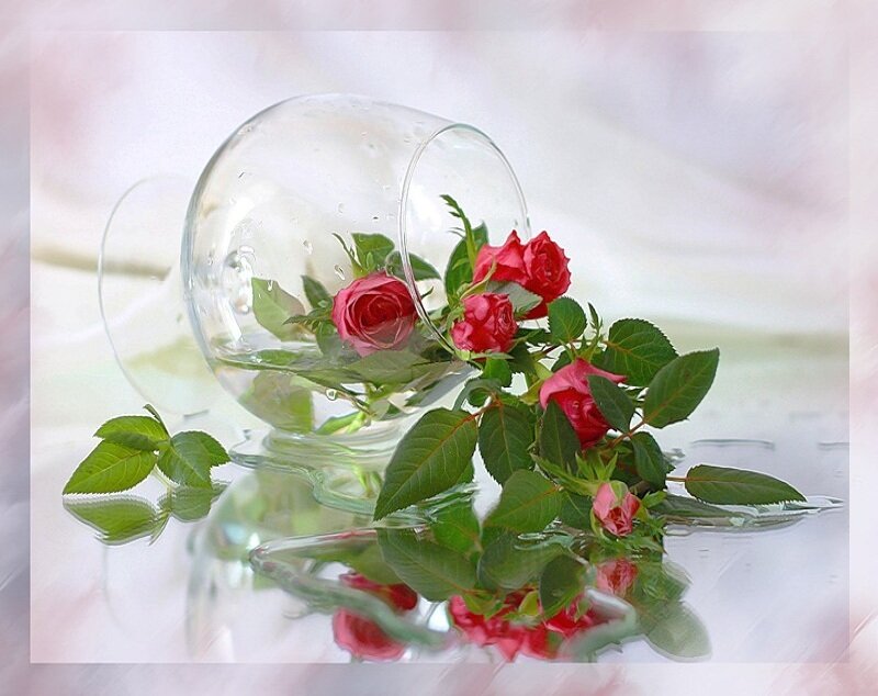 Red Roses in Glass Bowl — Serene