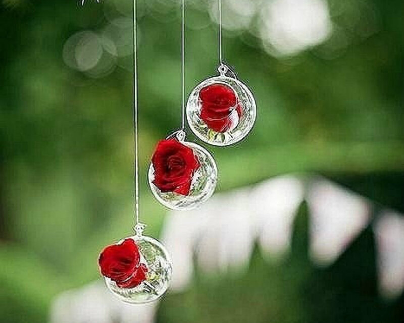 Red Roses in Glass Orbs