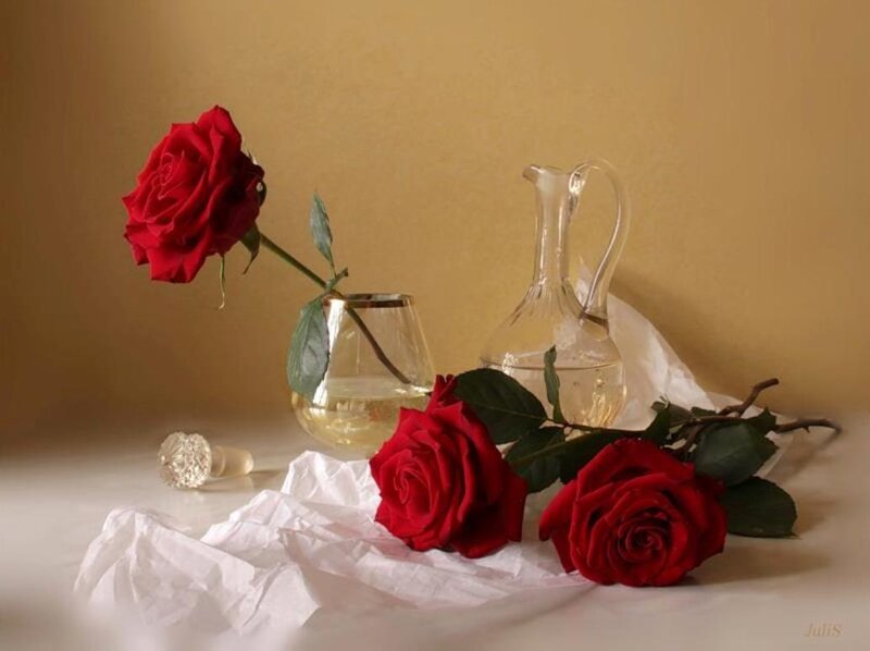 Red Roses in Glass — Serene