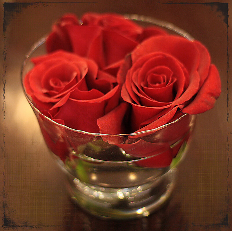 Red Roses in Glass