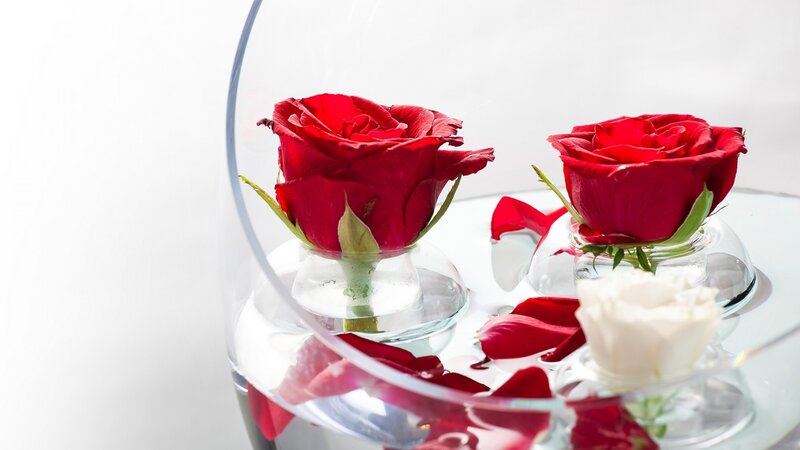 Red Roses in Glass Vases — Serene, Photograph, Petals