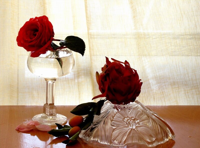 Red Roses in Glass Vases — Serene