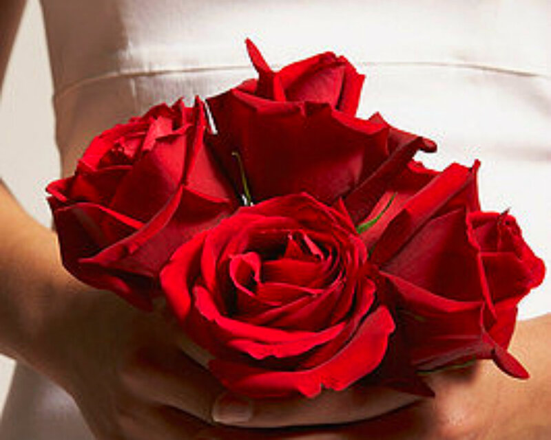 Red Roses in Hand