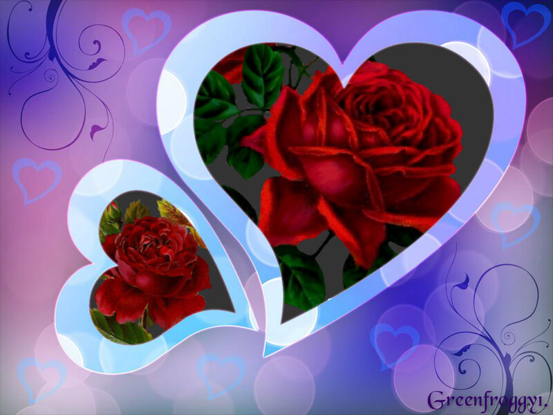 Red Roses in Heart Frames — Purple
