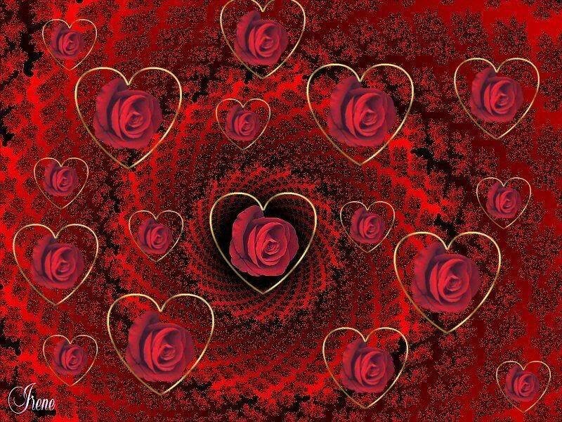 Red Roses in Heart Frames — Romantic