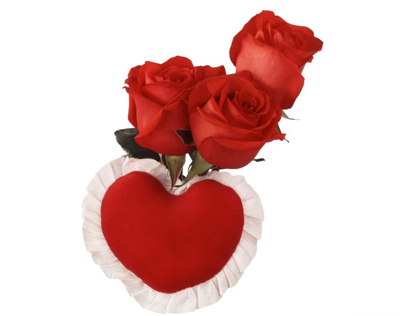 Red Roses in Heart — Romantic, Photograph