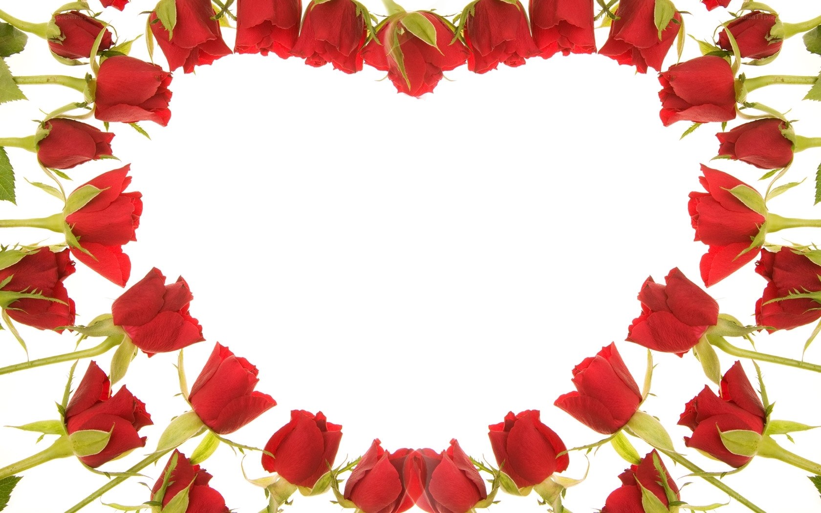 red roses in heart shape