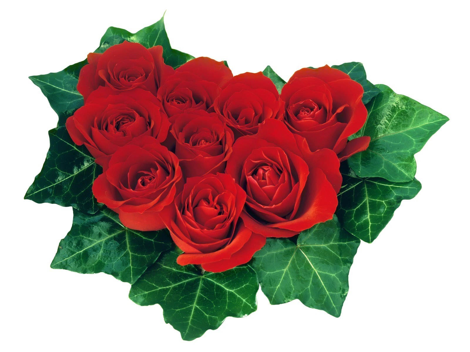 red roses in heart shape