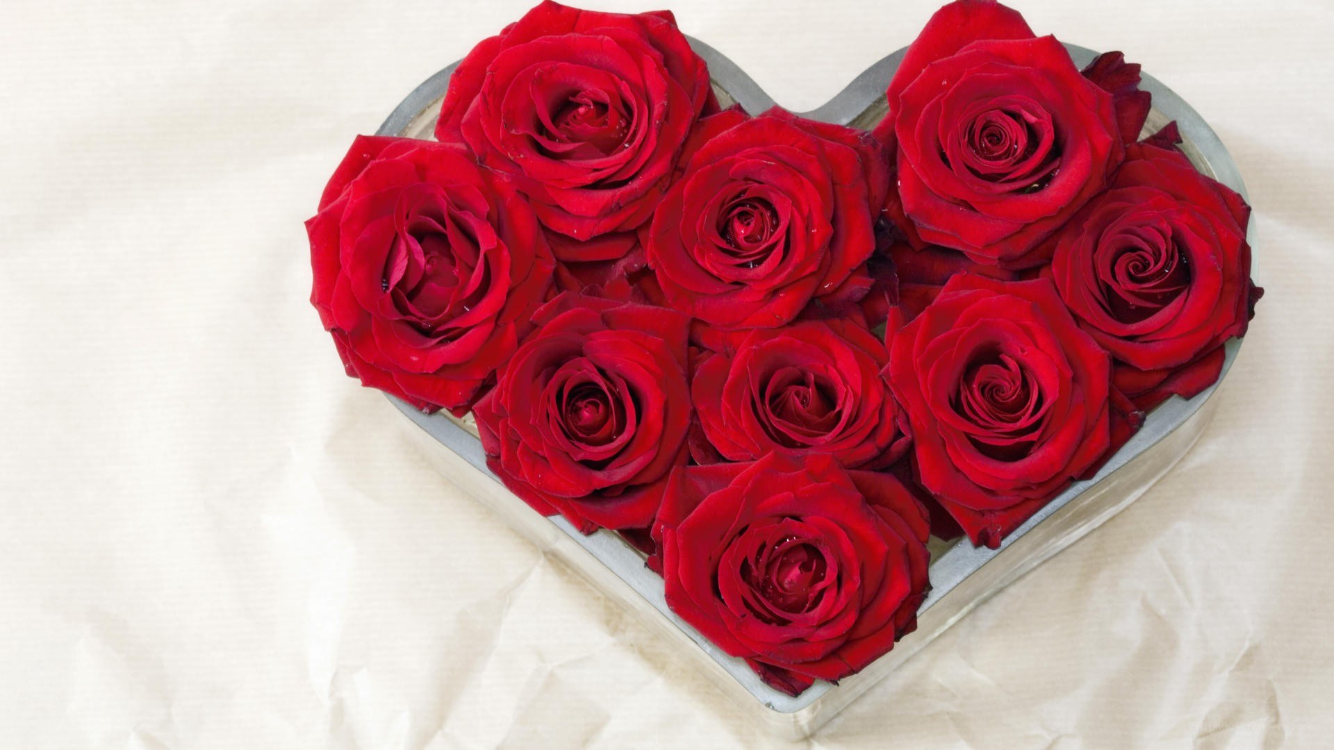 red roses in heart shape