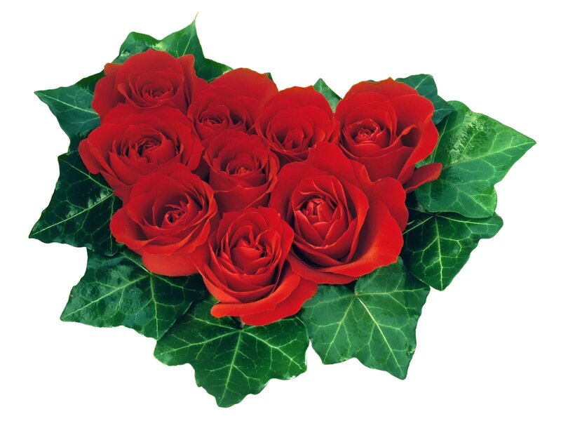 red roses in heart shape