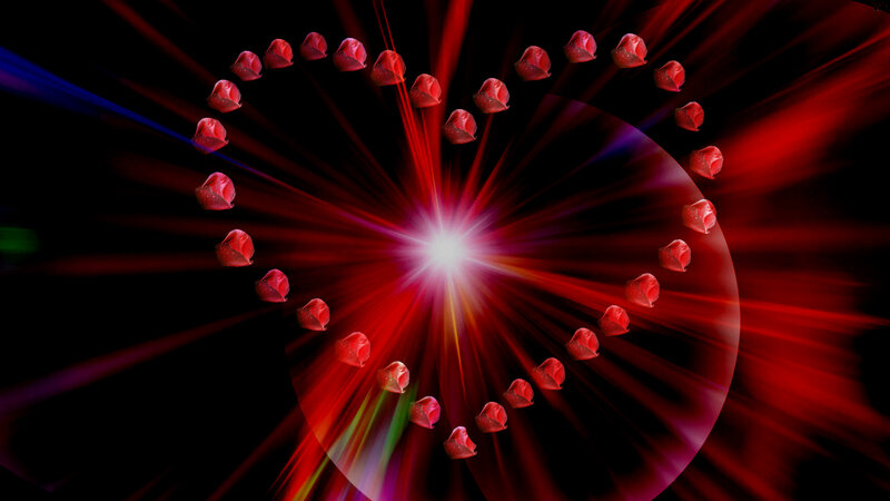 Red Roses in Heart Shape — Dramatic
