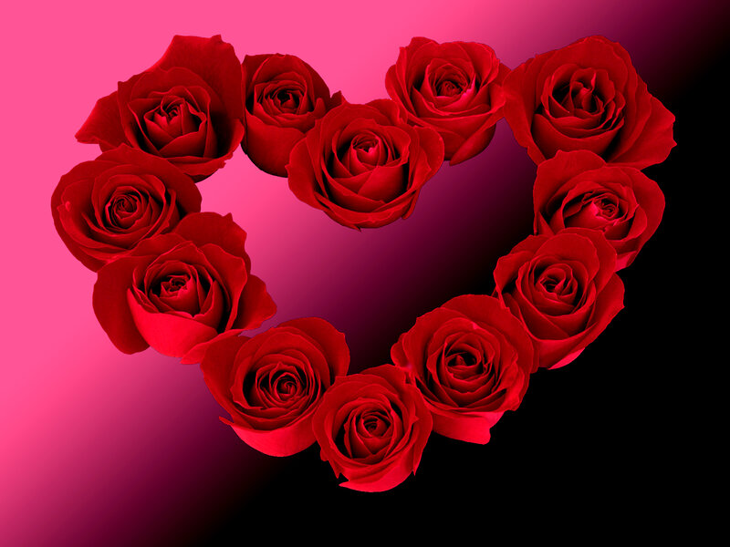 Red Roses in Heart Shape — Romantic, Photograph, Background