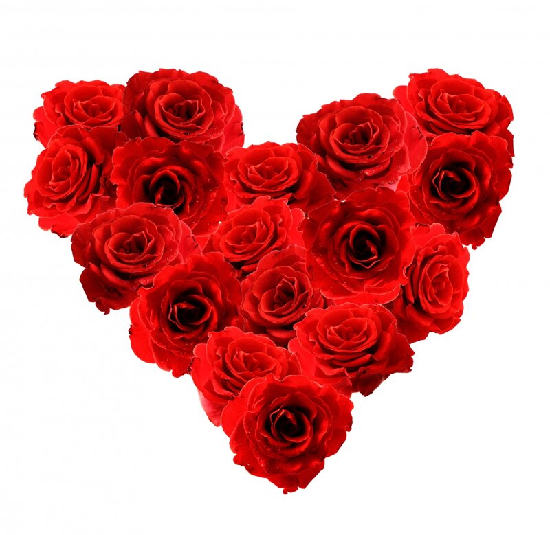 Red Roses in Heart Shape — Romantic, Photograph, Flowers