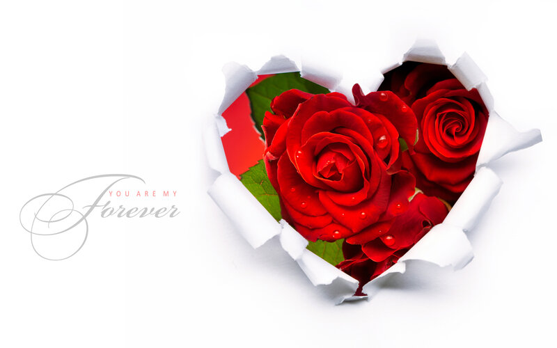Red Roses in Heart Shape — Romantic, Photograph, Rose, Leaf
