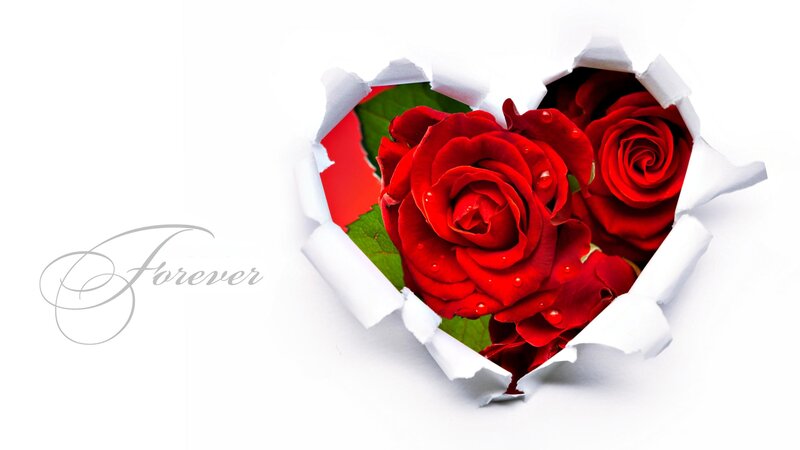 Red Roses in Heart Shape — Romantic, Photograph, Rose