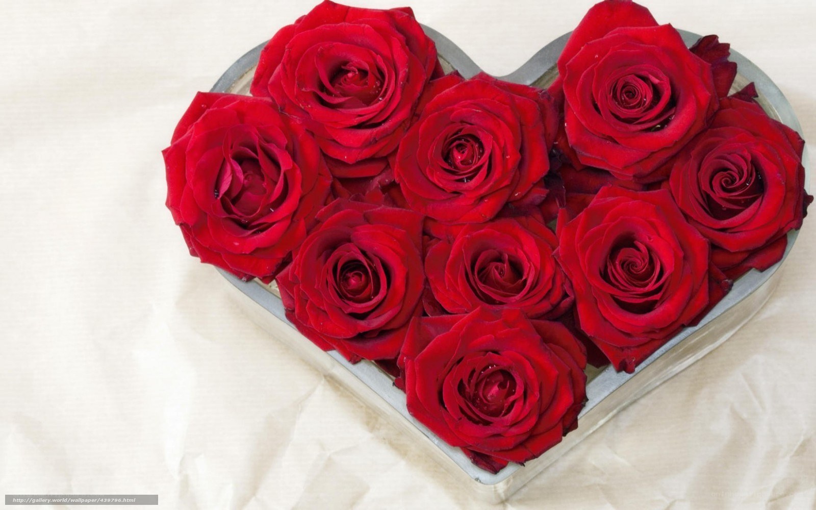 Red roses in heart-shaped box