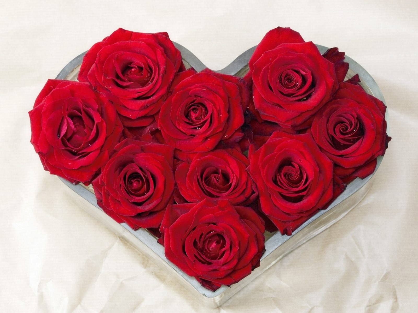 Red roses in heart-shaped box