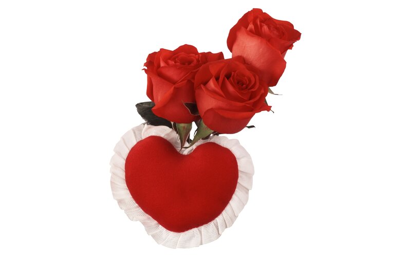 Red roses in heart-shaped holder