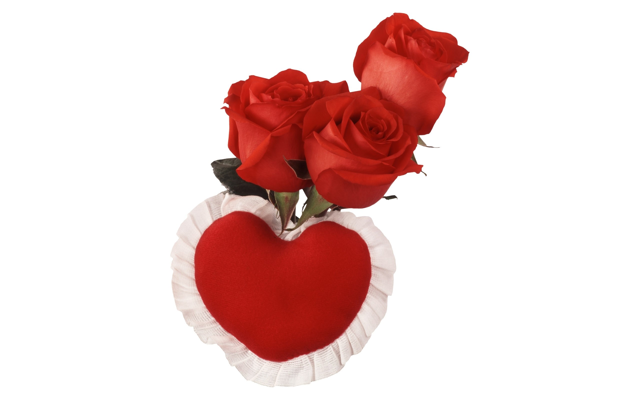 Red roses in heart-shaped holder