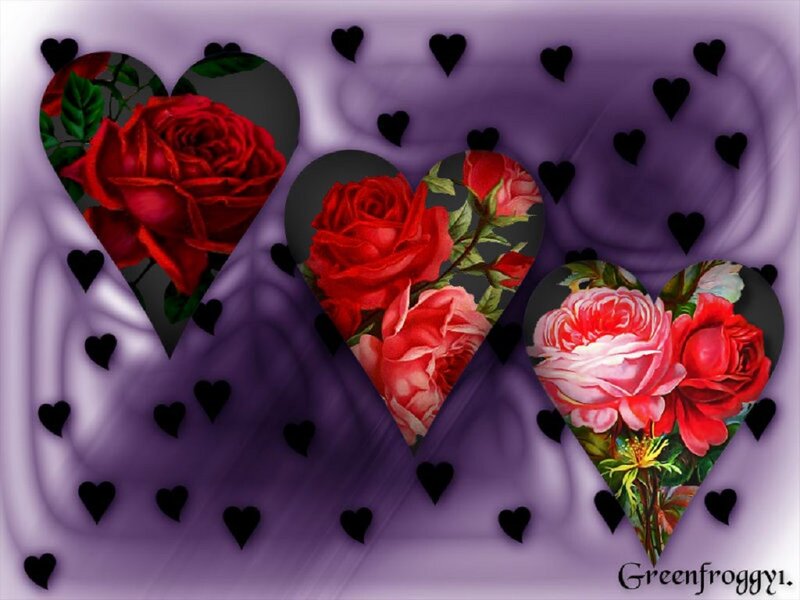 Red Roses in Hearts