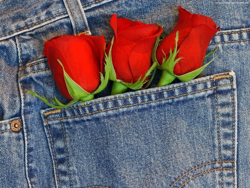 red roses in jeans pocket