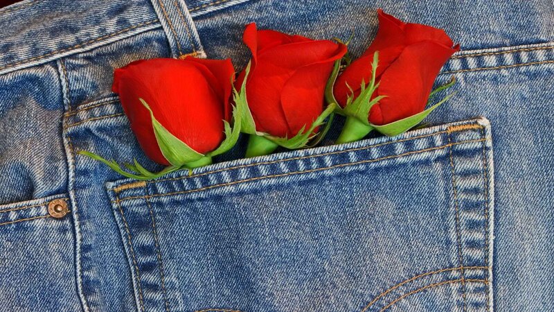 red roses in jeans pocket