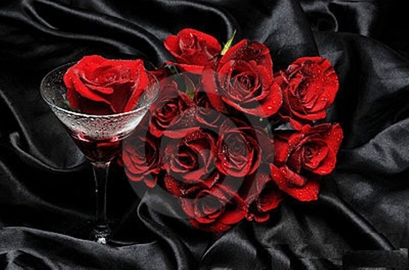 Red Roses in Martini Glass