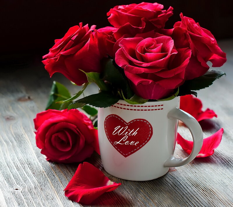 Red Roses in Mug — Romantic, Photograph