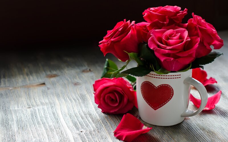 Red Roses in Mug — Romantic