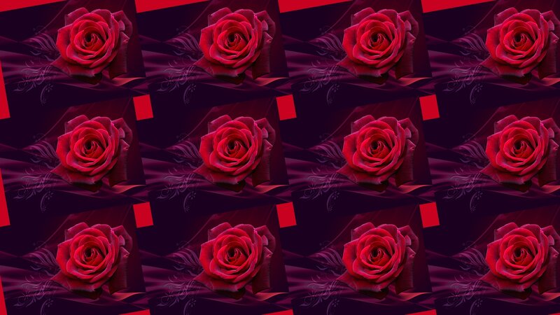 Red Roses in Pattern