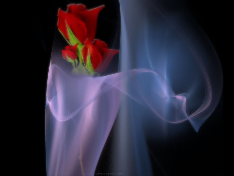 Red Roses in Smoke