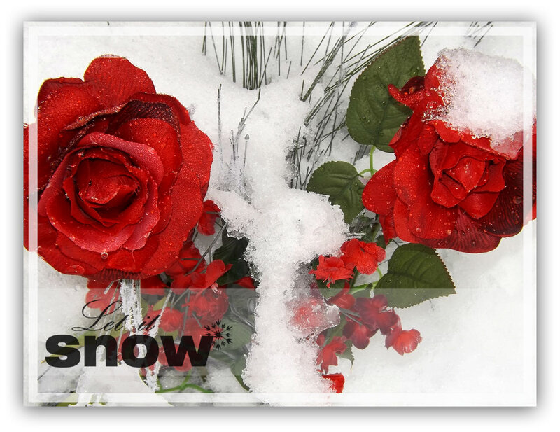 Red Roses in Snow — Calm, Winter, Photograph