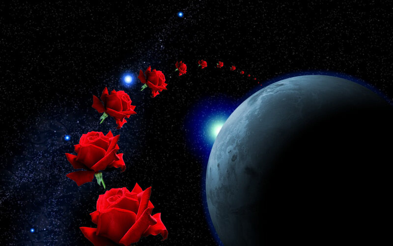 Red Roses in Space