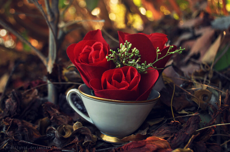 Red Roses in Teacup — Serene