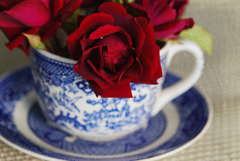 Red Roses in Teacup