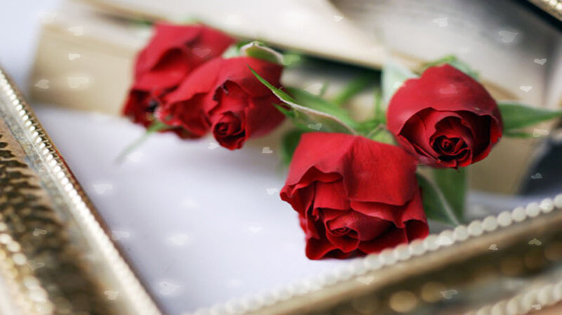 Red Roses in Tray