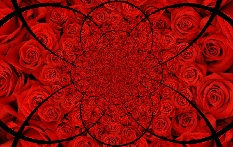 Red Roses in Tunnel