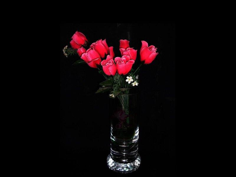 Red Roses in Vase — Black