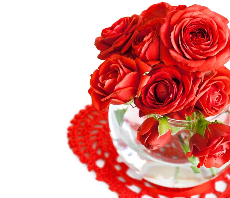 Red Roses in Vase — Calm, Photograph, Doily