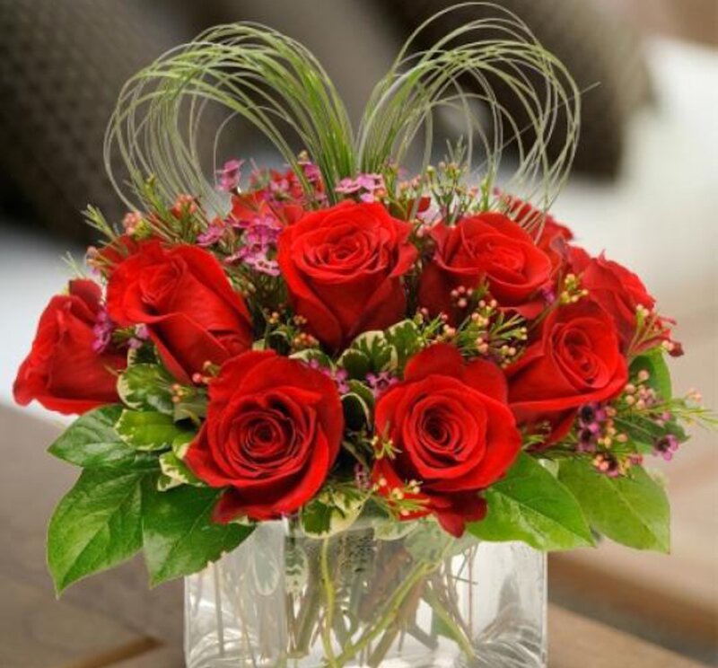 Red Roses in Vase — Calm, Photograph, Green Leaves