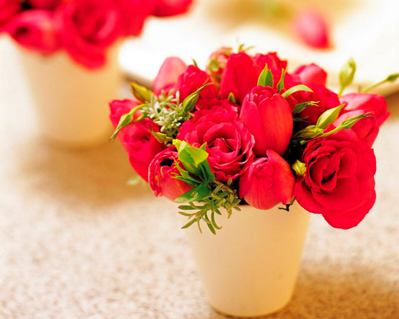 Red Roses in Vase — Calm, Photograph, Greenery