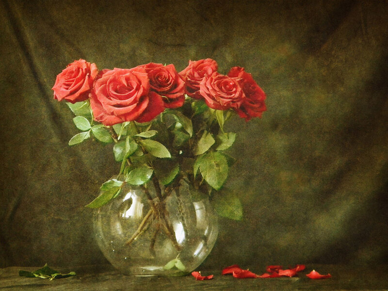 Red Roses in Vase — Calm, Photograph, Petals