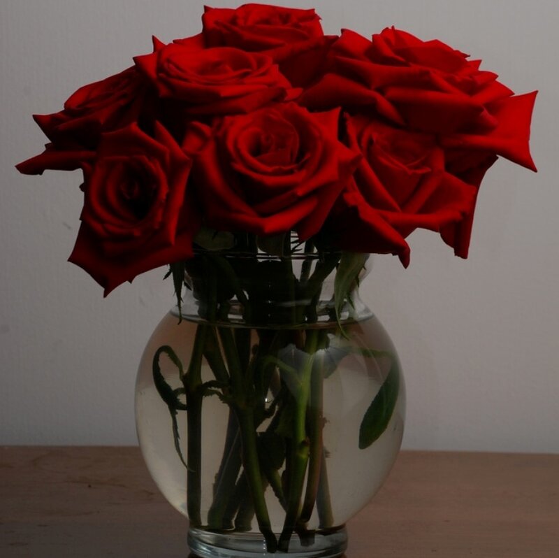 Red Roses in Vase — Calm, Photograph, Table, Wall