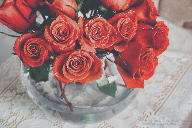 Red Roses in Vase — Calm, Photograph, Tablecloth
