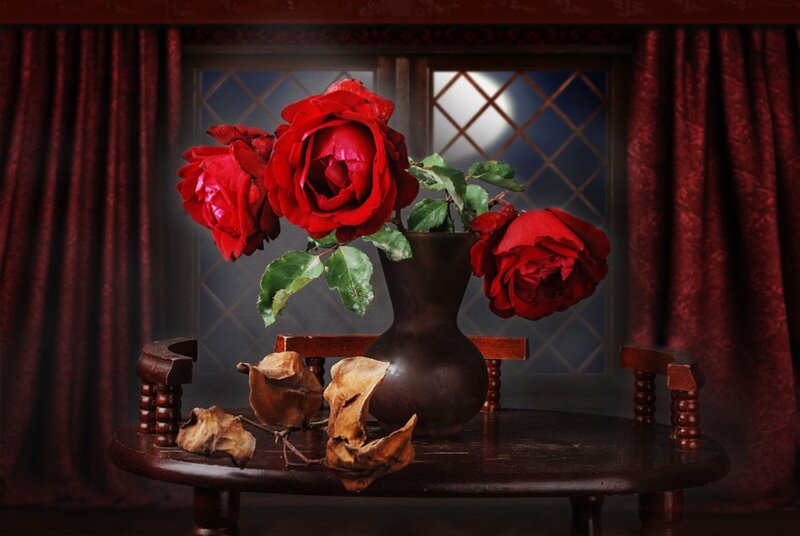 Red Roses in Vase — Dramatic, Night, Photograph